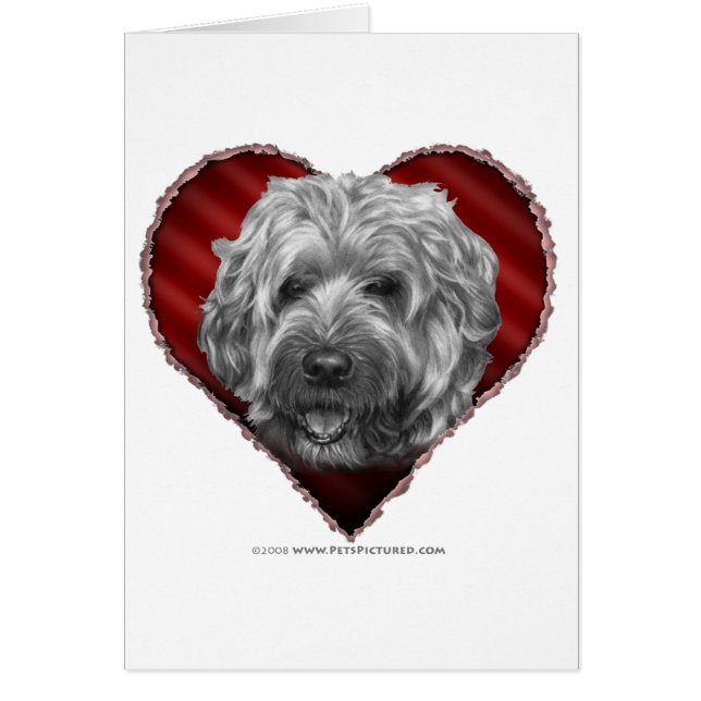 Terrier blond comme les blés Doux-Enduit avec le (Devant)