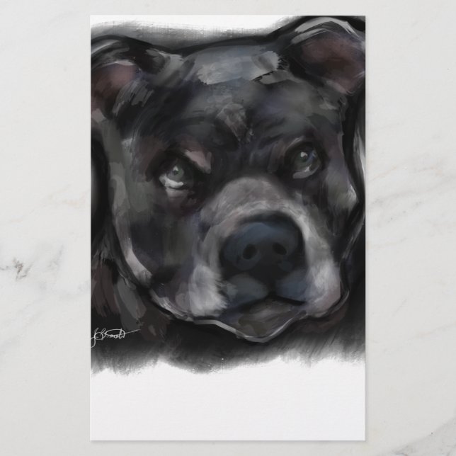 Terrier de Staffordshire américain (Devant)