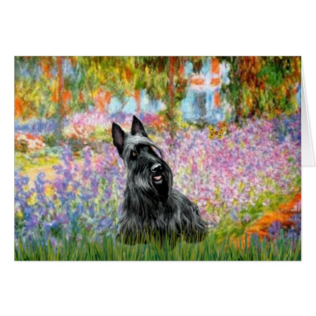 Terrier écossais 2 - Jardin (Devant horizontal)
