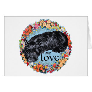 Terrier Écossais : Aye, Amour !