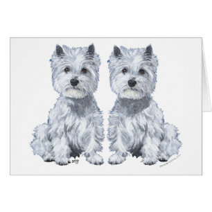 Terrier West Highland Blanc Assis Jumeaux !