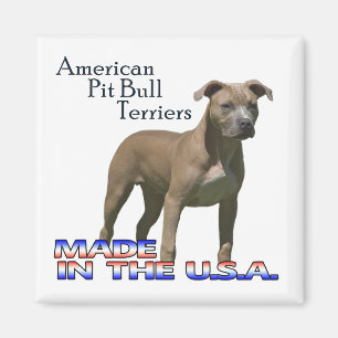 Terriers de pitbull américains : Aimant carré