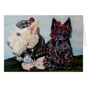 Terriers écossais celtiques