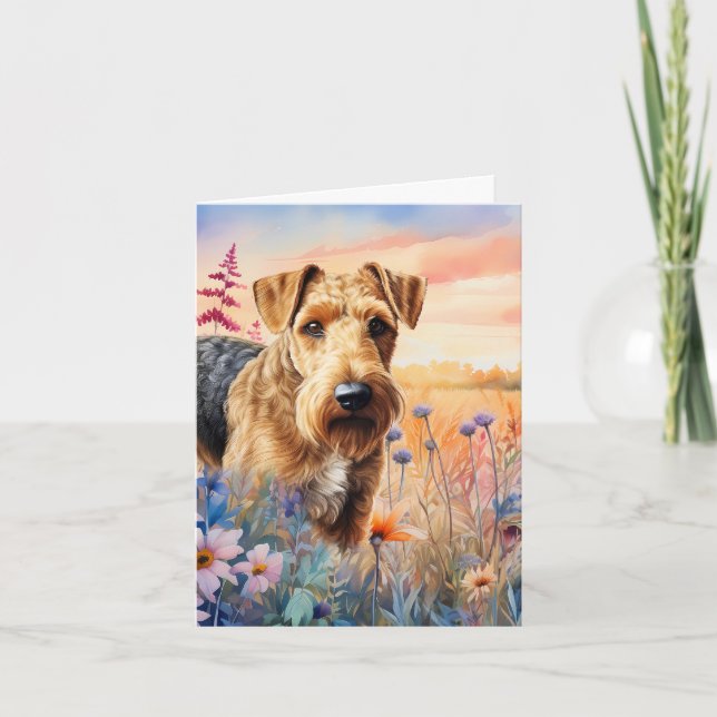 Tervueren Airedale dans une prairie de fleurs sauv (Devant)