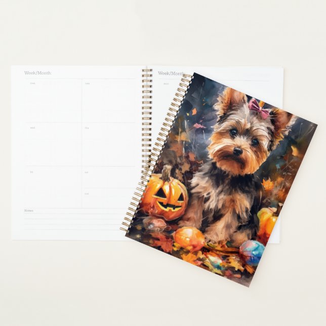 Tervueren Biewer Terrier avec citrouilles effrayan (Devant avec enveloppe)