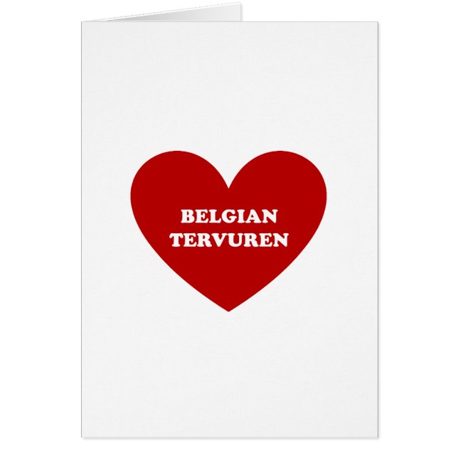 Tervuren belge (Devant)