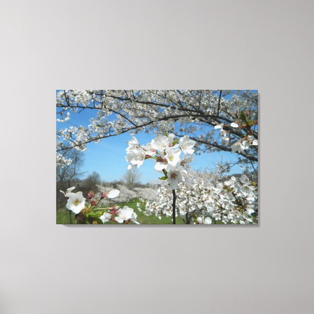 Tessy Blossom Valley Enveloppé toile Imprimer (Recto)