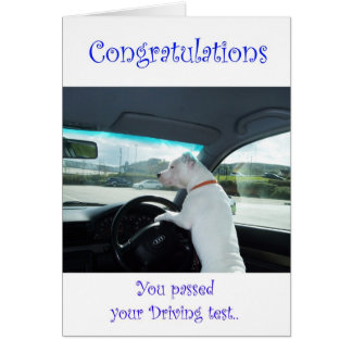 Test de conduite avec succès Cleo