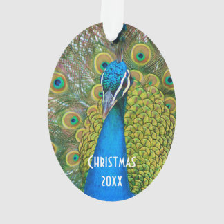 Tête bleue Peacock avec et des plumes de queue col
