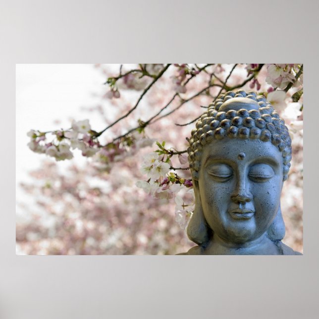 Tête de Bouddha contre affiche Sakura Cherry Bloss (Devant)
