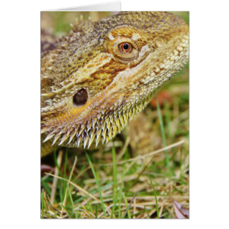 Tête de dragon barrée