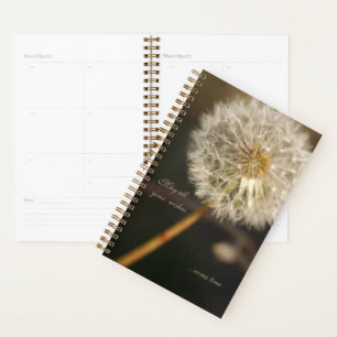 Tête de graines de Dandelion en tons Brown