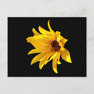 Tête de la marguerite jaune Helenium carte postale