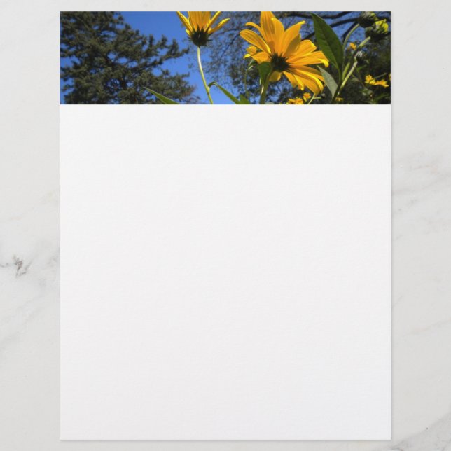 Tête de lettre Sunflower N Sky (Devant)