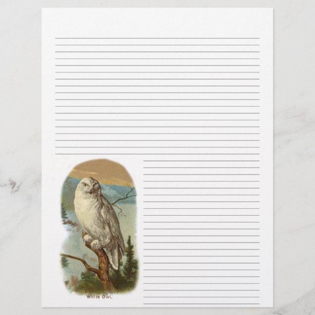 Tête de lettre vintage de Chouette neigeuse (Devant)
