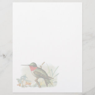 Tête de lettre vintage d'oiseau de rubis