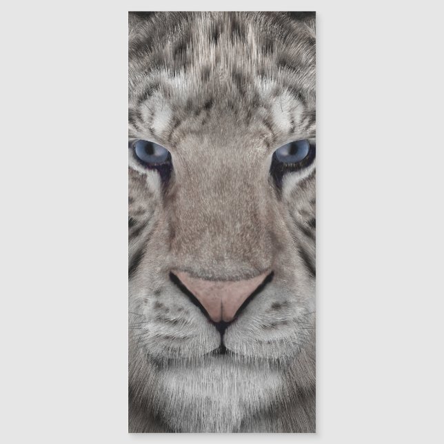 tête_de_tigre_blanc (Devant)