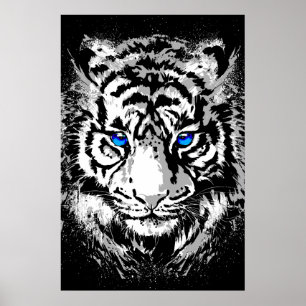 Tête de tigre blanc de Sibérie - Affiche de tigre