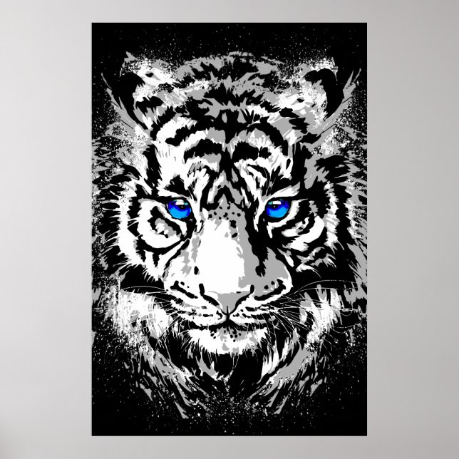 Tête de tigre blanc de Sibérie - Affiche de tigre  (Devant)