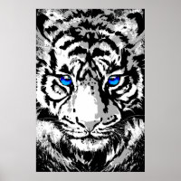 Tête de tigre blanc de Sibérie - Tiger Poster Blue