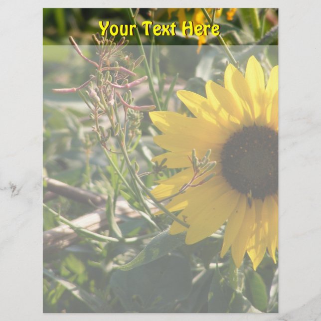 Tête de tournesol (Devant)