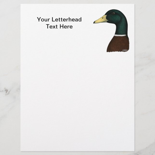Tête Mallard Drake (Devant)