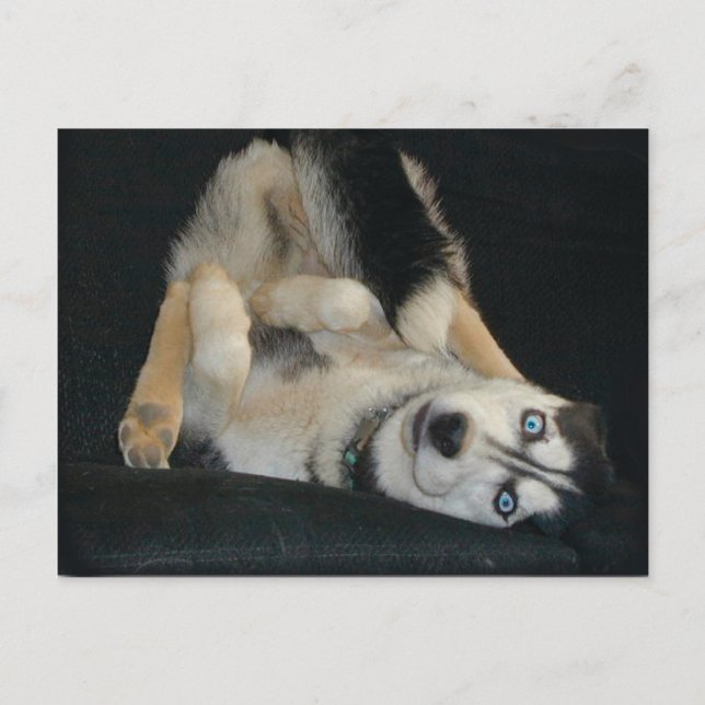 Tête sur les cartes postales Heures (Devant)