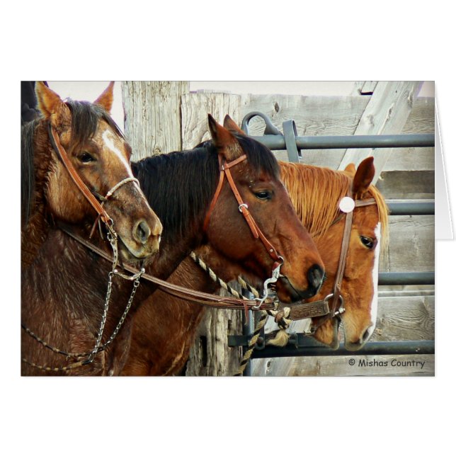 Têtes de cheval mises un frein (Devant horizontal)
