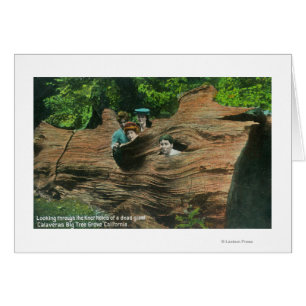 Têtes exposées dans les trous de noeud de séquoia 