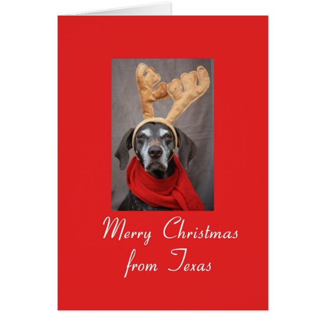 Texas  Christmas Card, state specific (Devant)