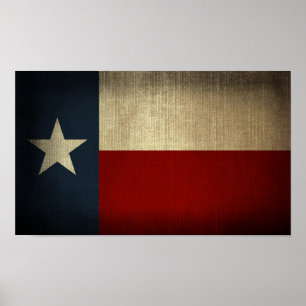 Texas Flag Poster