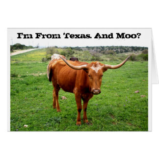 Texas Longhorn Avec Drôle Texas Dit