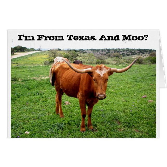 Texas Longhorn Avec Drôle Texas Dit (Devant horizontal)