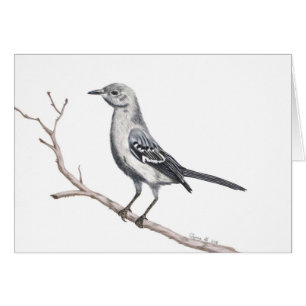 Texas Mockingbird Inspiration petite carte