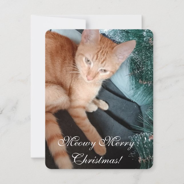 Texte Photo Chat, Faites votre propre, Carte de No (Devant)