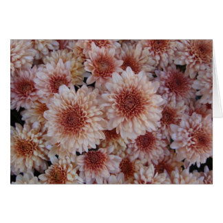 Texture de bonheur/de La textura de la alegría