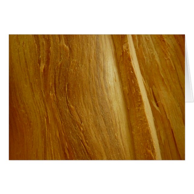Texture de faux bois de pin II (Devant Horizontal)