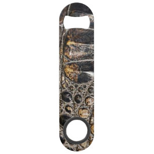 Texture de la peau de l'alligator Brown américaine