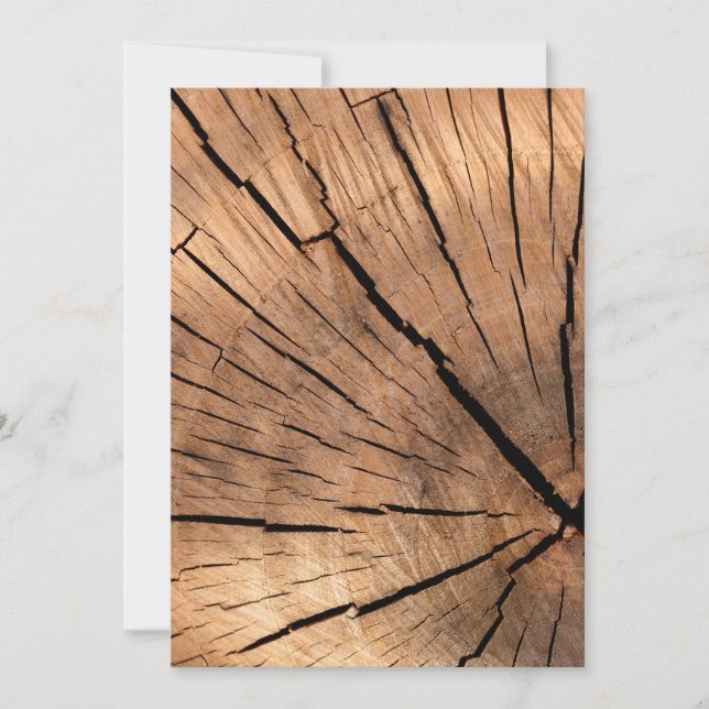 Texture de souche d'arbre (Devant)