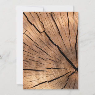 Texture de souche d'arbre
