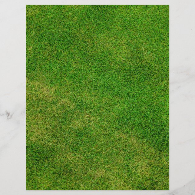 Texture d'herbe verte (Devant)