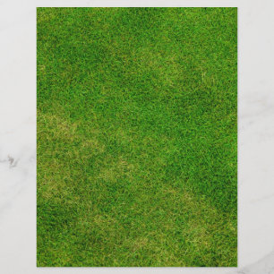 Texture verte