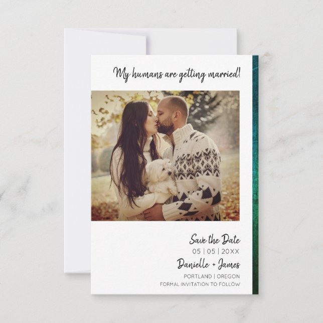 Texture verte avec effet instantané photo de chien (Devant)