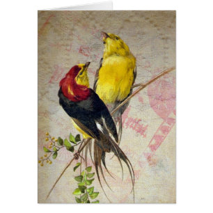 Texture vintage de dentelle d'oiseaux