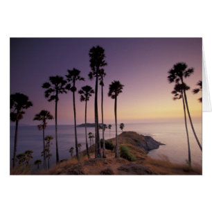 Thaïlande, île de Phuket.