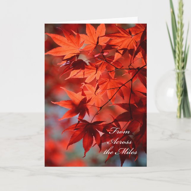 Thanksgiving de l'autre côté de la carte miles (Devant)