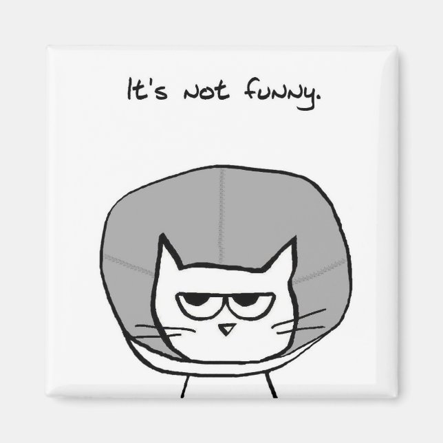 The Cat and the Cone of Shame - Funny Cat Magnet (Devant)