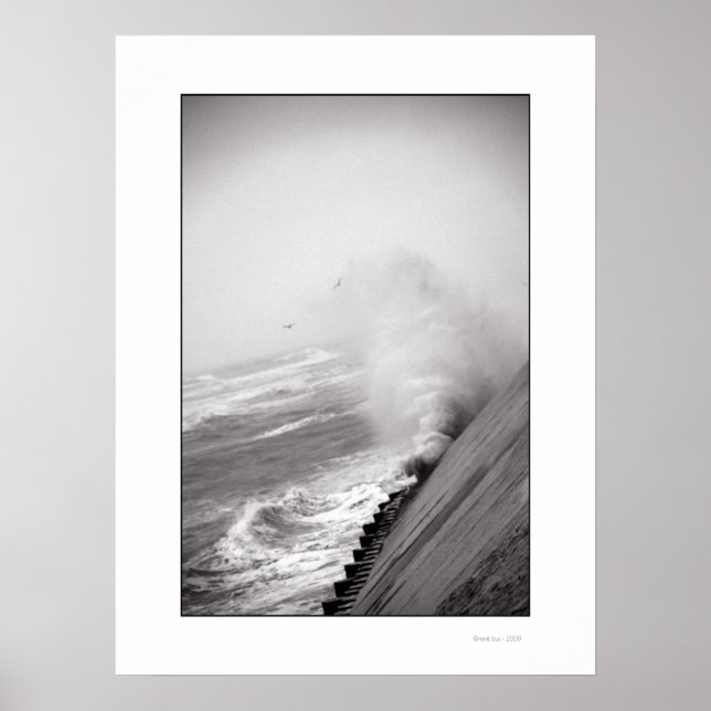 THE WAVE Poster (Devant)