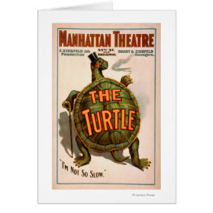 Théâtre New York Broadway de Manhattan la tortue