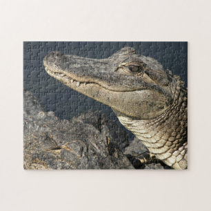 Thème de la nature Alligators en direct Puzzles po